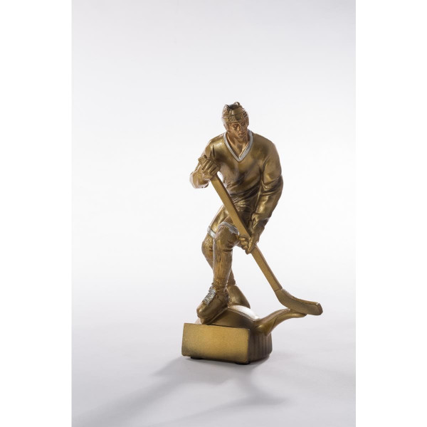 Pokal Eishockey Champion