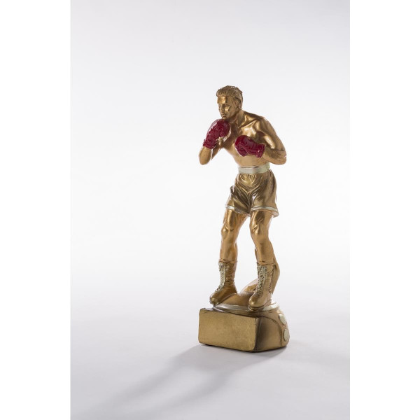 Boxer Trophäe