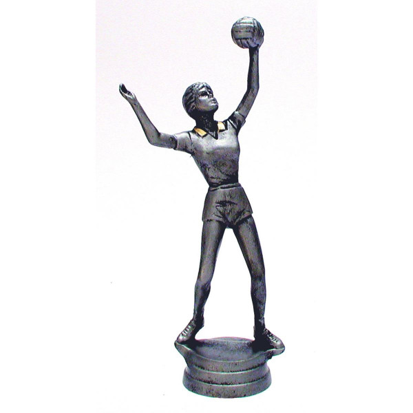 Damen Volleyballpokal