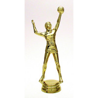 Volleyballpokal