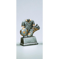 Fussball Pokal