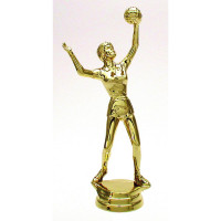 Volleyballpokal