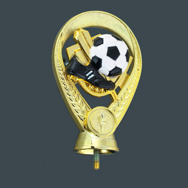 Fußball Trophäe Collage