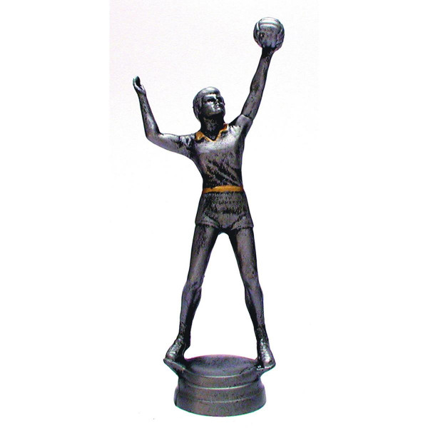 Herren Volleyballpokal