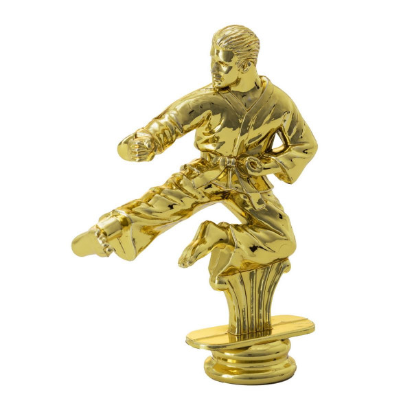 Karate Pokal