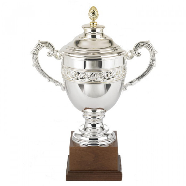 Sportpokal Ehrung Auszeichnung Versilbert