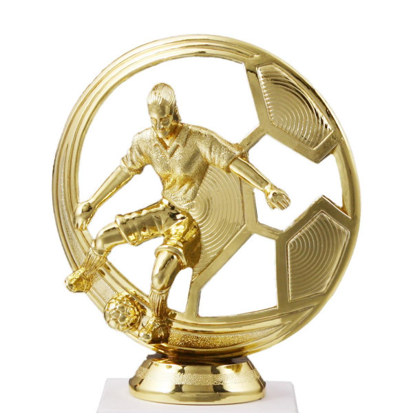 Fußball Pokal