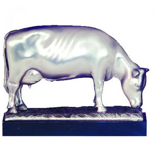 Edles Silberdesign Grasende Kuh Milchkuh Bauernhof Auszeichnung